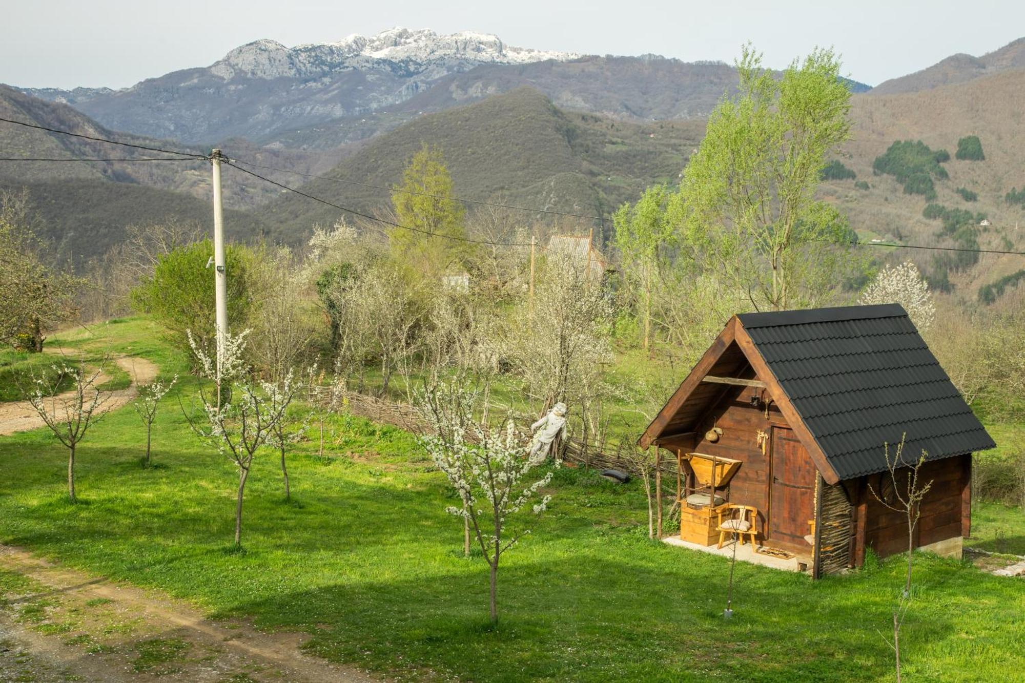 Djurdjevina Family Farm Kolašin Exterior foto