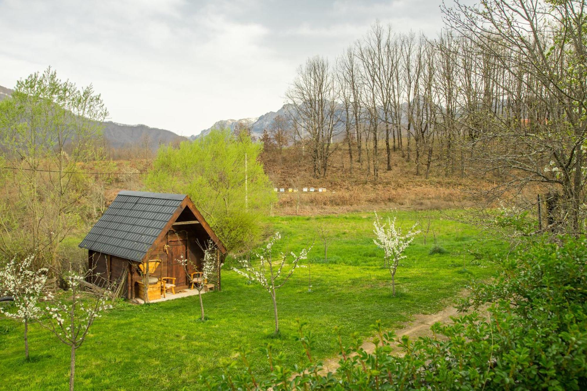 Djurdjevina Family Farm Kolašin Quarto foto