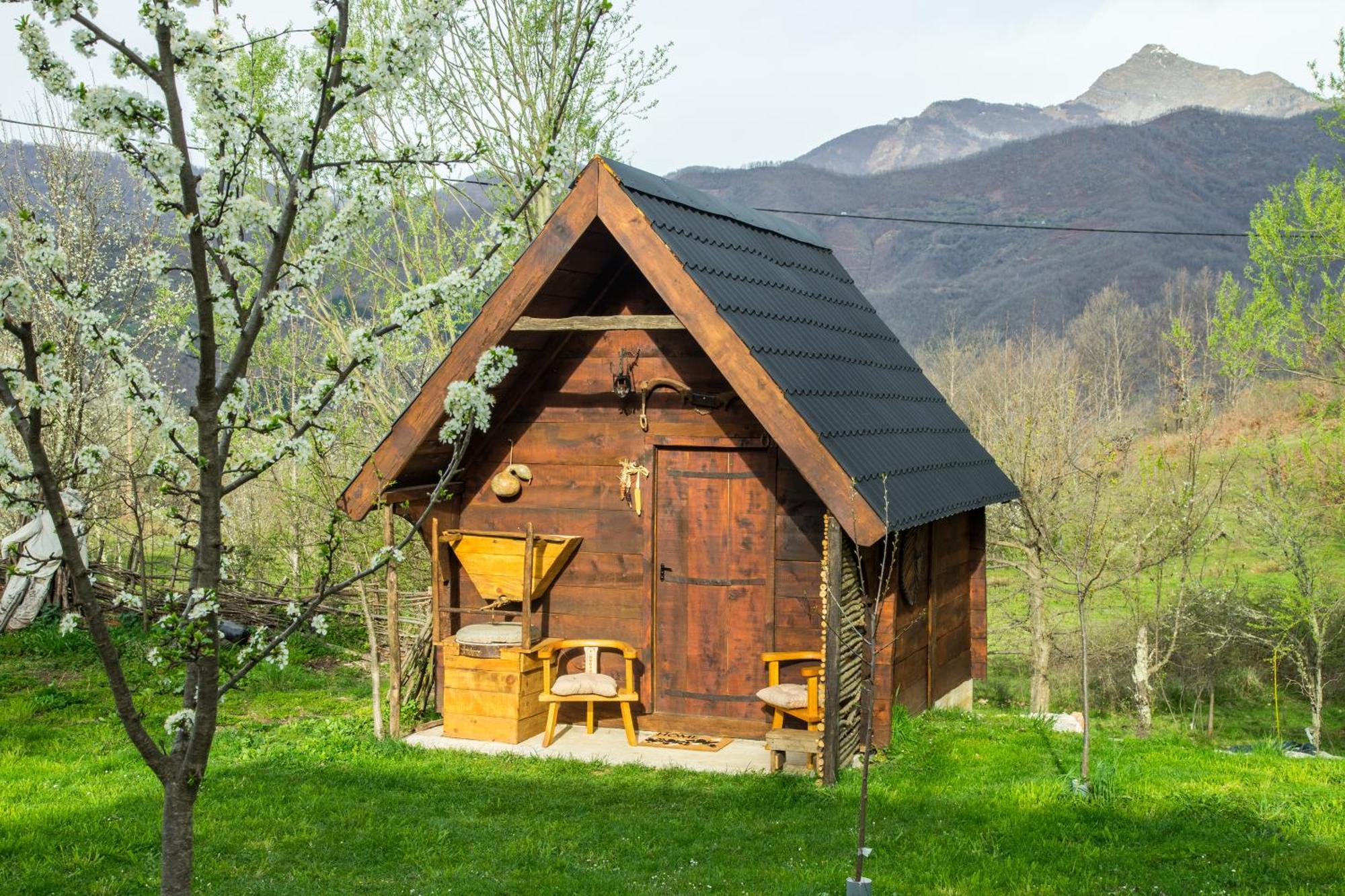 Djurdjevina Family Farm Kolašin Quarto foto