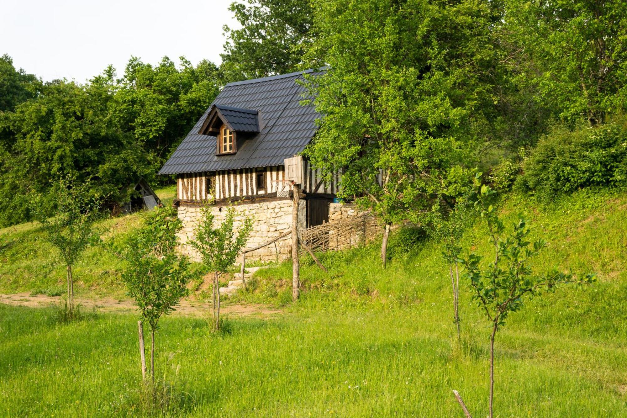 Djurdjevina Family Farm Kolašin Quarto foto